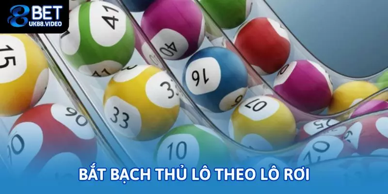 Bắt bạch thủ lô theo lô rơi