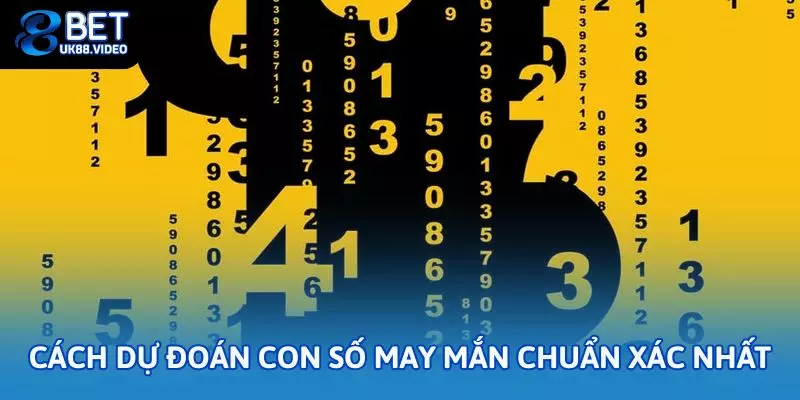 Cách dự đoán con số may mắn chuẩn xác nhất