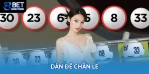 dan de chan le