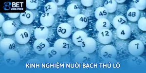 kinh nghiem nuoi bach thu lo