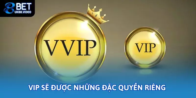 Trở thành VIP sẽ được những đặc quyền riêng 